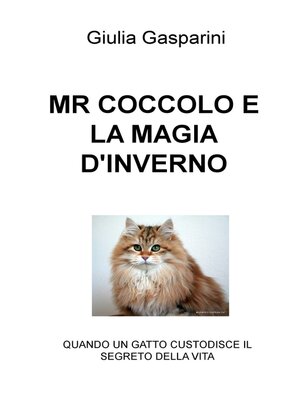cover image of MR COCCOLO E LA MAGIA D&#39;INVERNO